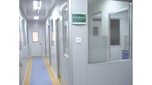 The PCR laboratory